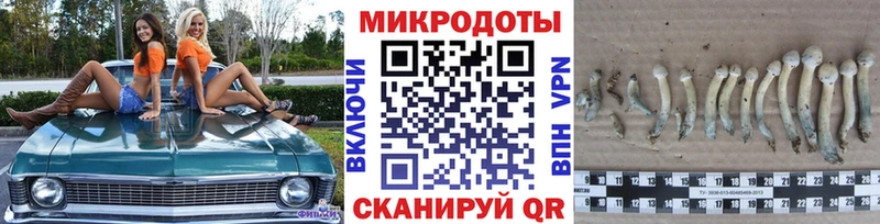 Псилоцибиновые грибы Cubensis Камешково